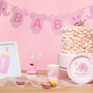 Girlianda-Baby-shower-rozinedrambliukas-300-cm-2